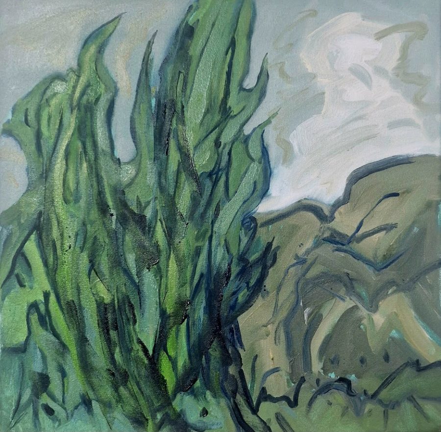 Angela Rumble - Spruce and hill